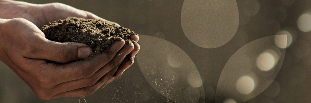 microbes, probiotics